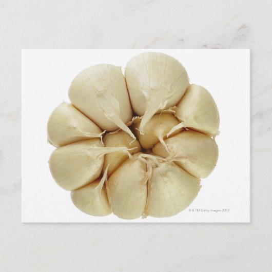 ニンニクは白い背景に隔離され、DFFの画像、 ポストカード (正面)