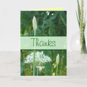 ニンニクアサツキの旗は大事な行事をカードカスタマイズ サンキューカード (正面)