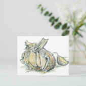 ニンニクハーブアリウム薬用料理スパイススケッチ ポストカード (スタンド正面)