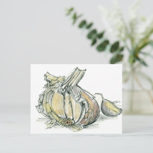 ニンニクハーブアリウム薬用料理スパイススケッチ ポストカード (スタンド正面)