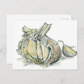 ニンニクハーブアリウム薬用料理スパイススケッチ ポストカード (正面/裏面)