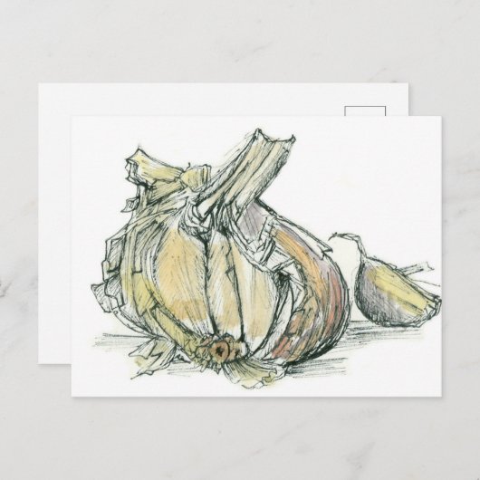 ニンニクハーブアリウム薬用料理スパイススケッチ ポストカード (正面/裏面)