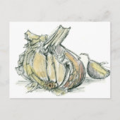 ニンニクハーブアリウム薬用料理スパイススケッチ ポストカード (正面)
