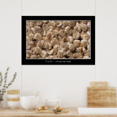 ニンニクフランスのマーケットポスター ポスター (キッチン)