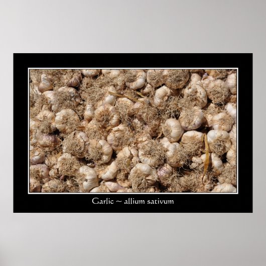 ニンニクフランスのマーケットポスター ポスター (正面)