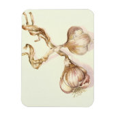 ニンニク球根2005 マグネット (縦)