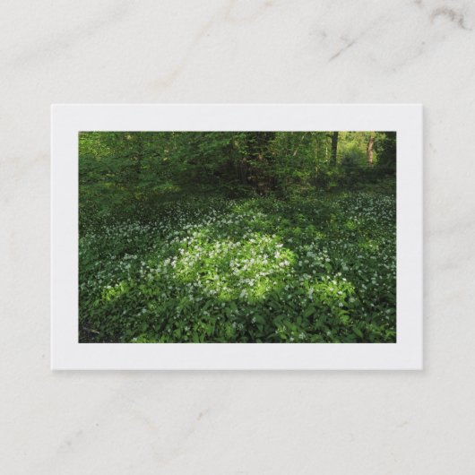 ニンニク縁どの斑点 名刺 (正面)