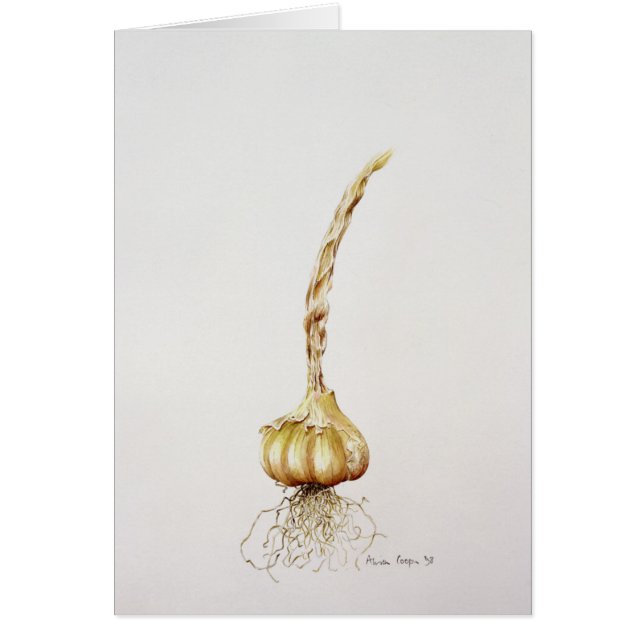 ニンニク1998年 (正面)