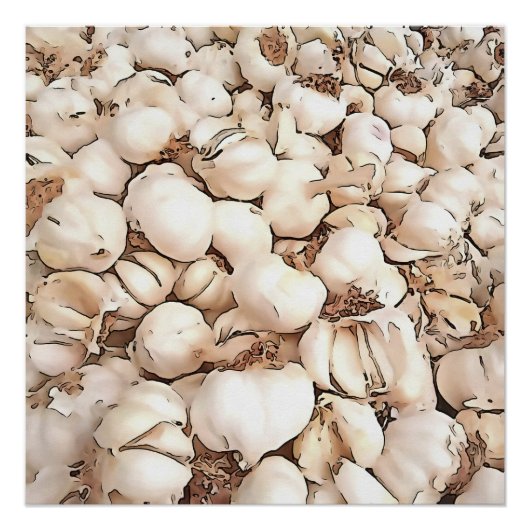 ニンニク・アクリル・アートの球根 ポスター (正面)