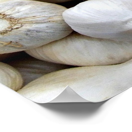 ニンニク ポスター (角)