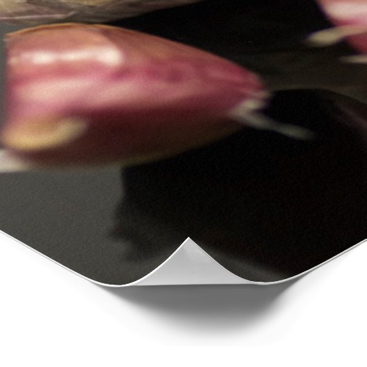 ニンニク ポスター (角)