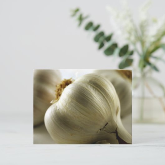 ニンニク ポストカード (スタンド正面)