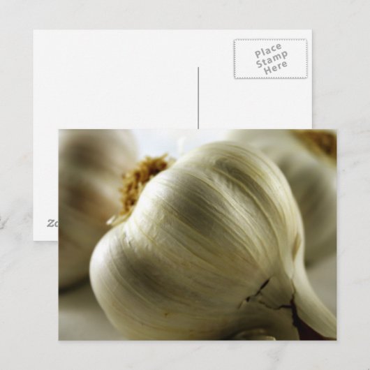 ニンニク ポストカード (正面/裏面)