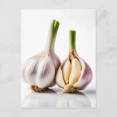 ニンニク ポストカード (正面)