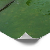 ニンバセスタゴナ ポスター (角)