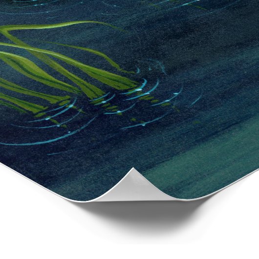 ニンフィスコレクティングベリーズアートプリント ポスター (角)