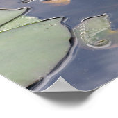 ニンフェアグロリオサ ポスター (角)