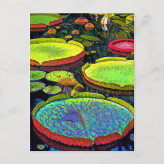 ニンフェアレース葉書 ポストカード