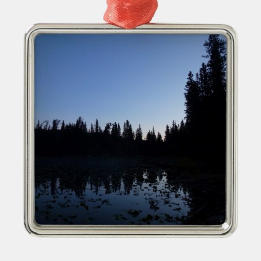 ニンフ湖アットドーン メタルオーナメント (正面)