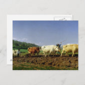 ニヴェルナで耕す, 1849 ポストカード (正面/裏面)