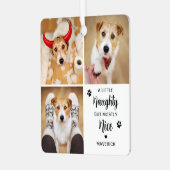ニースいけなおもしろい犬3ペットフォトクリスマス メタルオーナメント (正面左)