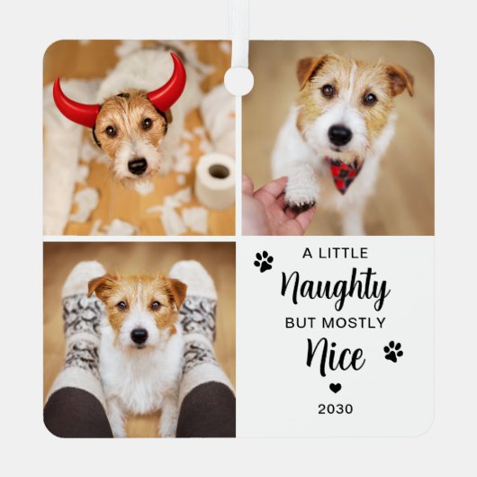 ニースいけなおもしろい犬3ペットフォトクリスマス メタルオーナメント (裏面)