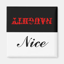 ニースいけなか？マグネット