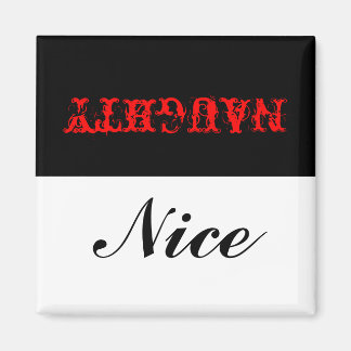 ニースいけなか？マグネット マグネット