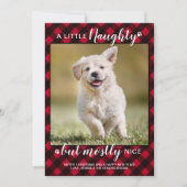 ニースいけなレッドパーソナライズされた・プレイド・ドッグのペット写真 シーズンカード (正面)