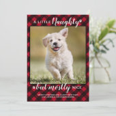 ニースいけなレッドパーソナライズされた・プレイド・ドッグのペット写真 シーズンカード (スタンド正面)