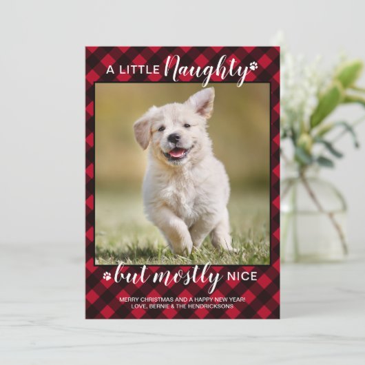 ニースいけなレッドパーソナライズされた・プレイド・ドッグのペット写真 シーズンカード (スタンド正面)