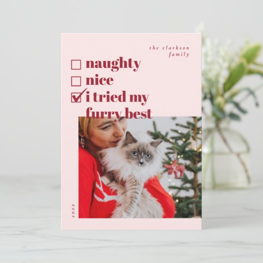 ニースいけな、毛皮を試した最高の シーズンカード (スタンド正面)