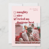 ニースいけな、私のドゴンを試した最高の シーズンカード (正面)