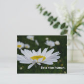 ニースの人間の郵便はがきがあって下さい ポストカード (スタンド正面)