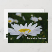 ニースの人間の郵便はがきがあって下さい ポストカード (正面/裏面)