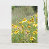 ニースカードの記憶にJanz カード (裏面)