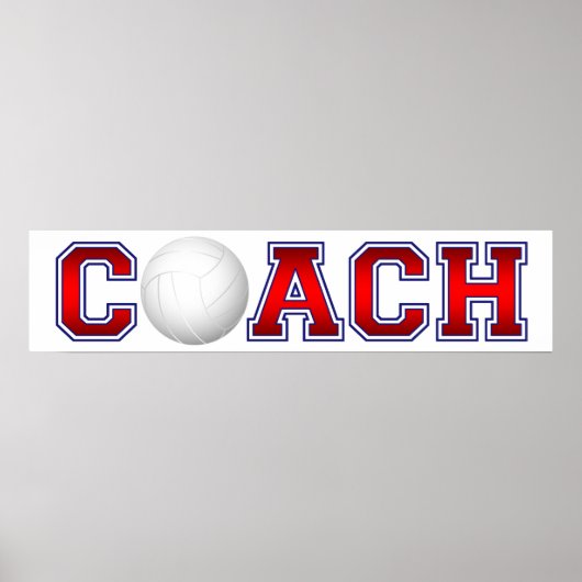 ニースコーチバレーボールInsignia 1 ポスター (正面)