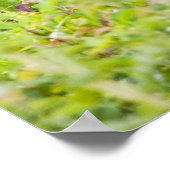 ニーススマイル ポスター (角)