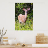 ニーススマイル ポスター (キッチン)