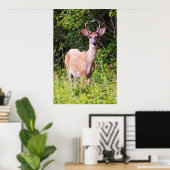 ニーススマイル ポスター (ホームオフィス)