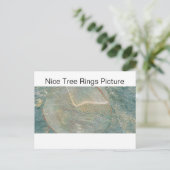 ニースツリーリングや輪写真 ポストカード (スタンド正面)