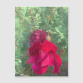 ニースバラ磁石の2倍 (正面)