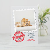 ニースリスト待ち猫おもしろい犬フォトクリスマス シーズンカード (スタンド正面)