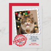 ニースリスト待ち猫おもしろい犬フォトクリスマス シーズンカード (正面/裏面)