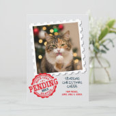 ニースリスト待ち猫おもしろい犬フォトクリスマス シーズンカード (スタンド正面)