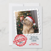 ニースリスト待ち猫おもしろい犬フォトクリスマス シーズンカード (正面)