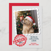 ニースリスト待ち猫おもしろい犬フォトクリスマス シーズンカード (正面/裏面)