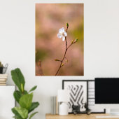 ニース日本のアプリコット花 ポスター (ホームオフィス)