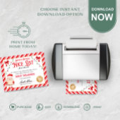 ニース認定証サンタクロース ポスター