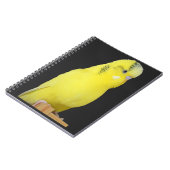 ニードリシガーゲルバーウェレンシティチ ノートブック (左側)